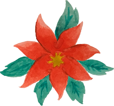 Handpainted Watercolor Christmas Poinsettia with Leaves